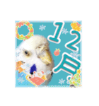 ピピ(Lv.11)のスタンプ。（個別スタンプ：36）