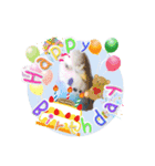 ピピ(Lv.11)のスタンプ。（個別スタンプ：38）