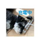 PEAK 2歳の毎日（個別スタンプ：2）