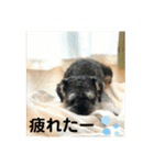 PEAK 2歳の毎日（個別スタンプ：4）
