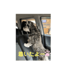 PEAK 2歳の毎日（個別スタンプ：5）