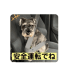 PEAK 2歳の毎日（個別スタンプ：7）
