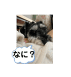 PEAK 2歳の毎日（個別スタンプ：9）