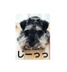 PEAK 2歳の毎日（個別スタンプ：10）