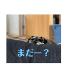 PEAK 2歳の毎日（個別スタンプ：11）