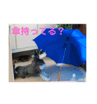 PEAK 2歳の毎日（個別スタンプ：13）