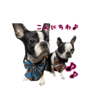 paku＆peko（個別スタンプ：1）