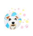ライト動物病院 ver4（個別スタンプ：11）