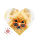 ライト動物病院 ver4（個別スタンプ：12）