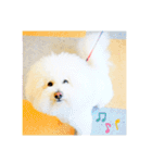 ライト動物病院 ver4（個別スタンプ：14）