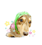 ライト動物病院 ver4（個別スタンプ：16）