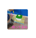 こねこのジョルノ（個別スタンプ：10）