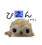 ふくろうのジャスティン～その①～（個別スタンプ：13）