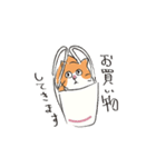 しかめっつら猫のなおくん（個別スタンプ：28）