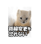 もっと自由にもっと自分らしく02（個別スタンプ：2）