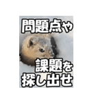 もっと自由にもっと自分らしく02（個別スタンプ：3）