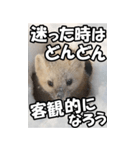 もっと自由にもっと自分らしく02（個別スタンプ：4）