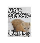 もっと自由にもっと自分らしく02（個別スタンプ：5）