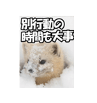 もっと自由にもっと自分らしく02（個別スタンプ：6）