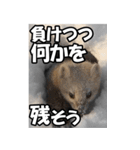 もっと自由にもっと自分らしく02（個別スタンプ：7）