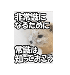 もっと自由にもっと自分らしく02（個別スタンプ：8）
