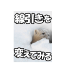 もっと自由にもっと自分らしく02（個別スタンプ：11）