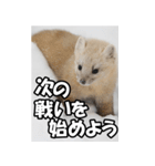 もっと自由にもっと自分らしく02（個別スタンプ：12）