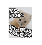 もっと自由にもっと自分らしく02（個別スタンプ：13）