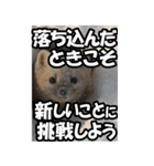 もっと自由にもっと自分らしく02（個別スタンプ：14）