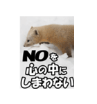 もっと自由にもっと自分らしく02（個別スタンプ：15）