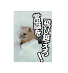 もっと自由にもっと自分らしく02（個別スタンプ：16）
