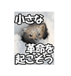 もっと自由にもっと自分らしく02（個別スタンプ：17）