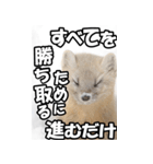 もっと自由にもっと自分らしく02（個別スタンプ：18）