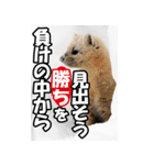 もっと自由にもっと自分らしく02（個別スタンプ：19）