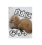 もっと自由にもっと自分らしく02（個別スタンプ：20）