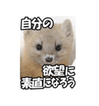 もっと自由にもっと自分らしく02（個別スタンプ：21）