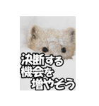 もっと自由にもっと自分らしく02（個別スタンプ：23）