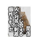 もっと自由にもっと自分らしく02（個別スタンプ：25）