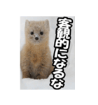 もっと自由にもっと自分らしく02（個別スタンプ：28）