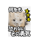 もっと自由にもっと自分らしく02（個別スタンプ：29）