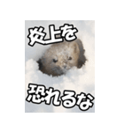 もっと自由にもっと自分らしく02（個別スタンプ：30）