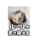 もっと自由にもっと自分らしく02（個別スタンプ：31）