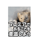 もっと自由にもっと自分らしく02（個別スタンプ：33）