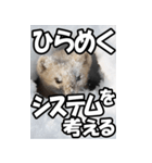 もっと自由にもっと自分らしく02（個別スタンプ：35）