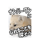 もっと自由にもっと自分らしく02（個別スタンプ：36）