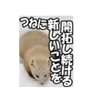 もっと自由にもっと自分らしく02（個別スタンプ：37）