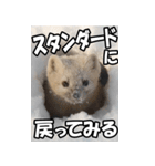 もっと自由にもっと自分らしく02（個別スタンプ：39）