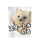 もっと自由にもっと自分らしく02（個別スタンプ：40）