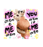 にゃんこのノアち（個別スタンプ：1）