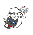 可愛い猫の日常の会話（個別スタンプ：16）